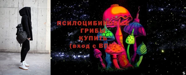 стафф Алзамай