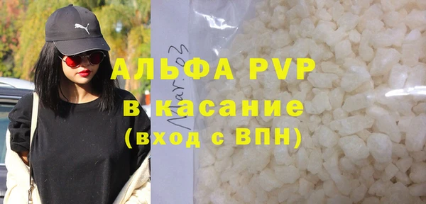 стафф Алзамай