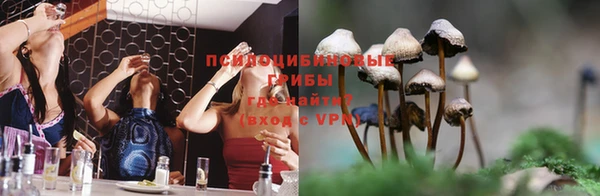 стафф Алзамай