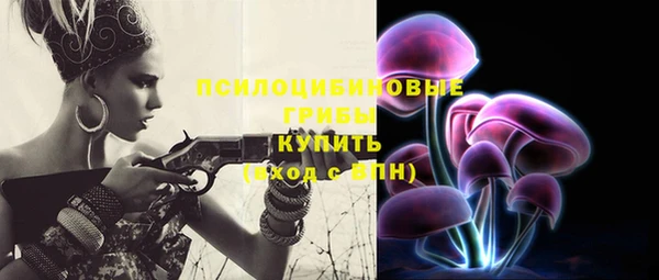 стафф Алзамай
