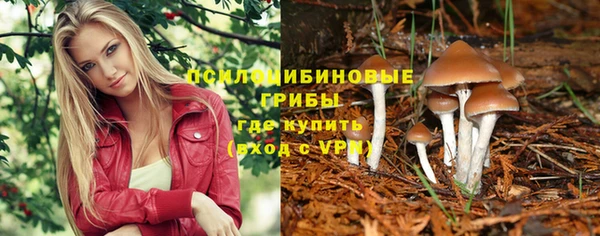 a pvp Алексеевка