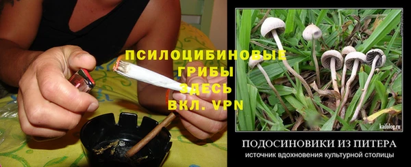 a pvp Алексеевка