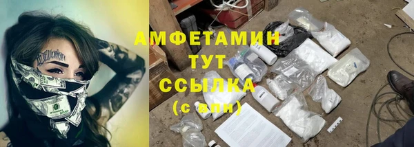 стафф Алзамай
