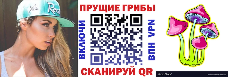 Псилоцибиновые грибы Cubensis  купить наркотики сайты  дарк нет состав  Бикин 